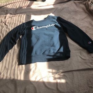 Champion sweater